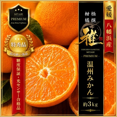 極撰柑橘【雅プレミアム】糖度保証・光センサー合格品「八幡浜温州みかん」約3キロ【C39-63】