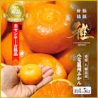 極撰柑橘【雅】光センサー合格品　甘さ際立つ「小玉温州みかん」約4.5キロ【C39-64】