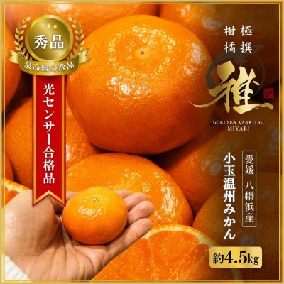 極撰柑橘【雅】光センサー合格品　甘さ際立つ「小玉温州みかん」約4.5キロ【C39-64】