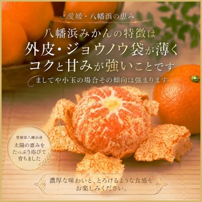 極撰柑橘【雅】光センサー合格品　甘さ際立つ「小玉温州みかん」約4.5キロ【C39-64】