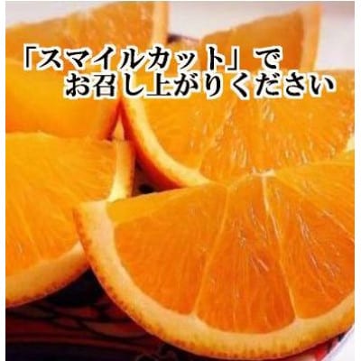 2026年2月～順次発送　柑橘の大トロ!「せとか」約2.5キロ【訳あり品・家庭向け】【C39-65】