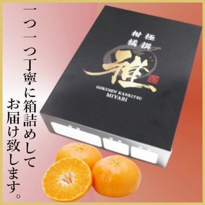 極撰柑橘【雅】光センサー合格品・限定130ケース　愛媛の高級柑橘「甘平」約1.8キロ【D39-66】