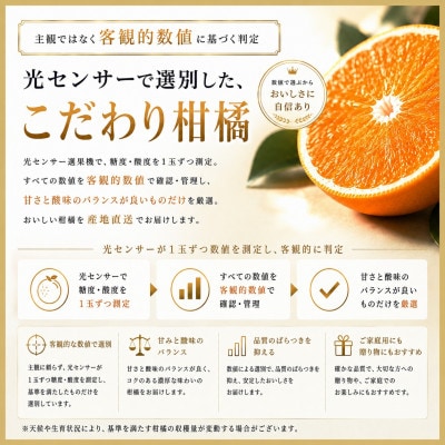 極撰柑橘【雅】光センサー合格品・限定300ケース　愛媛の高級柑橘「甘平」約1.8キロ【D39-66】