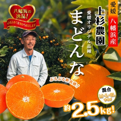 こんな柑橘はじめて!!上杉農園のぷるぷる新食感!!「まどんな」約2.5kg【D39-67】
