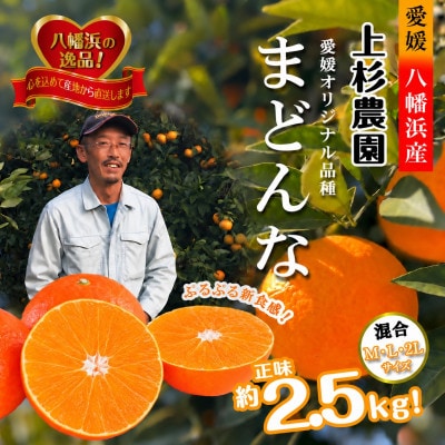 こんな柑橘はじめて!!上杉農園のぷるぷる新食感!!「まどんな」約2.5kg【D39-67】