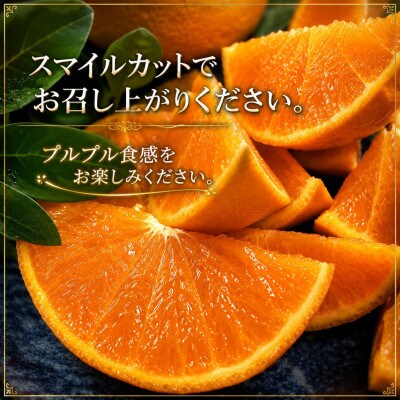 こんな柑橘はじめて!!上杉農園のぷるぷる新食感!!「まどんな」約2.5kg【D39-67】