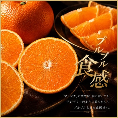 極撰柑橘【雅プレミアム】糖度保証・光センサー 合格品「 マドンナ 」約3キロ【F39-68】