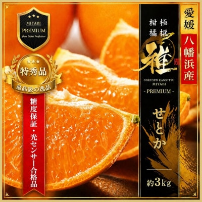 極撰柑橘【雅プレミアム】糖度保証・光センサー合格品「 せとか 」約3キロ【D39-69】