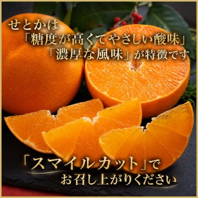 極撰柑橘【雅プレミアム】糖度保証・光センサー合格品「 せとか 」約3キロ【D39-69】