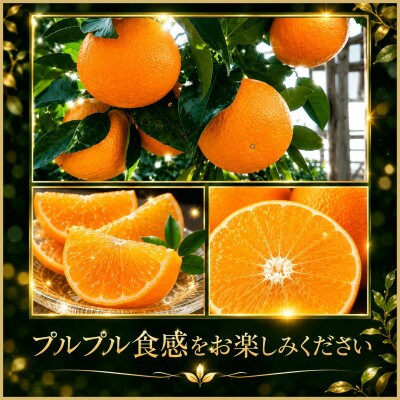 極撰柑橘 【雅】光センサー 合格品・プルプル食感「 マドンナ 」 約3キロ【E39-70】