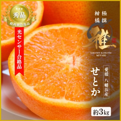 極撰柑橘【雅】光センサー合格品・柑橘の大トロ「 せとか 」約3キロ【D39-71】