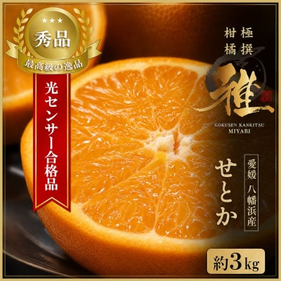 極撰柑橘【雅】光センサー合格品・柑橘の大トロ「 せとか 」約3キロ【D39-71】