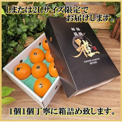 極撰柑橘【雅】光センサー合格品・柑橘の大トロ「 せとか 」約3キロ【D39-71】