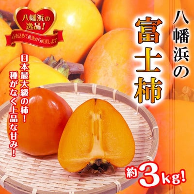 甘さにニッコリ!日本最大級の柿「富士柿」約3キロ【C39-72】