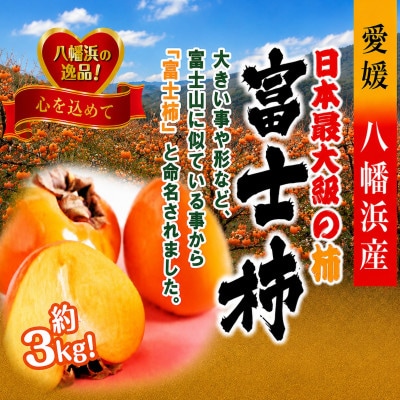 甘さにニッコリ!日本最大級の柿「富士柿」約3キロ【C39-72】