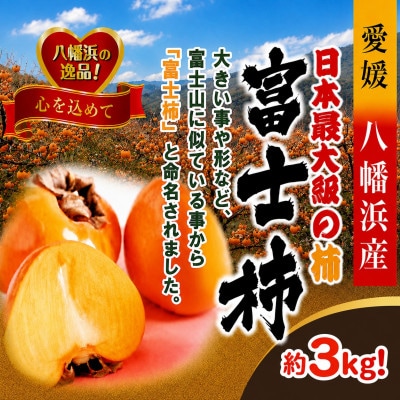 甘さにニッコリ・なめらか食感!日本最大級の柿「富士柿」約3キロ【C39-72】
