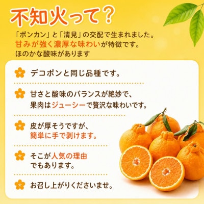 2027年2月～順次出荷　甘さと酸味の絶妙なバランス!はじける果肉「不知火」約5キロ【D39-73】
