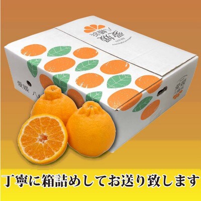 2026年2月～順次出荷　甘さと酸味の絶妙なバランス!はじける果肉「不知火」約3キロ【C39-74】