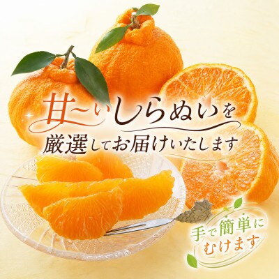 2027年2月～順次出荷　甘さと酸味の絶妙なバランス!はじける果肉「不知火」約2キロ【B39-75】