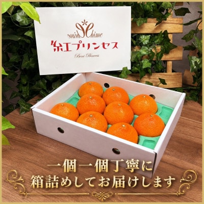 柑橘界のサラブレット!!「まどんな」と「甘平」を親に持つ!!　「紅プリンセス」3キロ【F39-77】