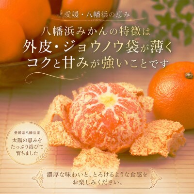 太陽の光・石垣の反射光・海面の反射光を浴びて育った「八幡浜みかん」約3キロ【B39-78】