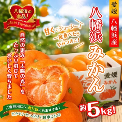 太陽の光・石垣の反射光・海面の反射光を浴びて育った「八幡浜みかん」約5キロ【C39-79】