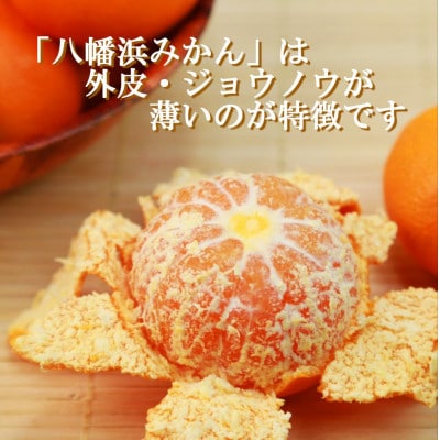 太陽の光・石垣の反射光・海面の反射光を浴びて育った「八幡浜みかん」約5キロ【C39-79】