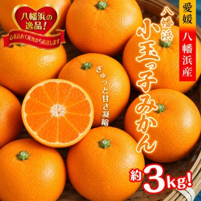 2026年11月～順次出荷　小粒・濃厚な味わい!!「八幡浜小玉っ子みかん」約3kg【A39-80】