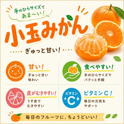 2026年11月～順次出荷　小粒・濃厚な味わい!!「八幡浜小玉っ子みかん」約3kg【A39-80】