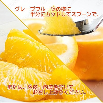2027年4月～順次出荷　爽やかでみずみずしい!初夏の「河内晩柑」約5キロ【訳あり】【C39-82】