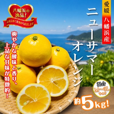 2027年4月発送開始　さわやかな香りと上品な甘さ!「ニューサマーオレンジ」約5キロ【D39-83】