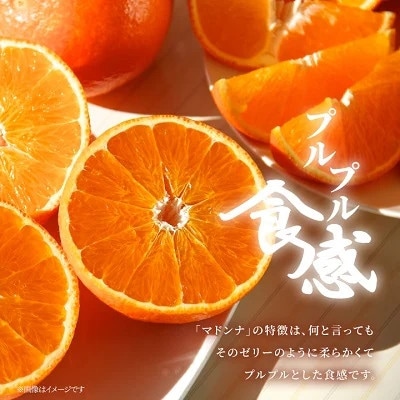 年明け提供・家庭向き　限定400ケース　ぷるぷる新食感「まどんな」約3.5キロ【C39-84】