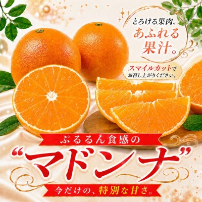 限定200個　ぷるぷる食感!「 マドンナ 」約3.3キロ【 訳あり 】【39-87】