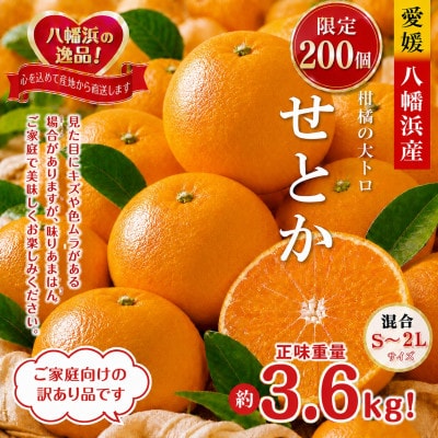 限定200個　柑橘の大トロ!「せとか」約3.6キロ【訳あり品・家庭向け】【39-88】