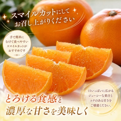限定200個　柑橘の大トロ!「せとか」約3.6キロ【訳あり品・家庭向け】【39-88】