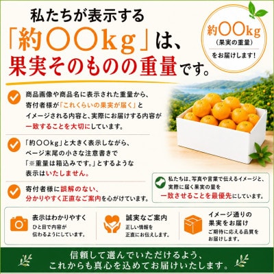 限定200個　柑橘の大トロ!「せとか」約3.6キロ【訳あり品・家庭向け】【39-88】