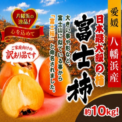 【訳あり品です】甘さにニッコリ・なめらか食感!日本最大級の柿!「富士柿」約10キロ【39-89】