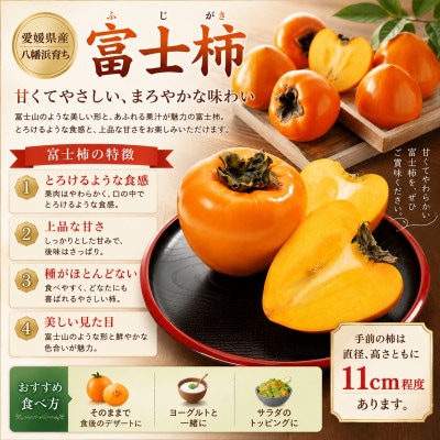 【訳あり品です】甘さにニッコリ・なめらか食感!日本最大級の柿!「富士柿」約10キロ【39-89】
