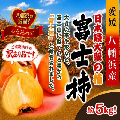 【訳あり品です】甘さにニッコリ・なめらか食感!日本最大級の柿!「富士柿」約5キロ【39-90】
