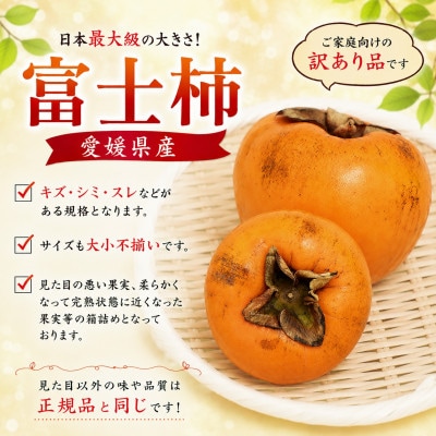 【訳あり品です】甘さにニッコリ・なめらか食感!日本最大級の柿!「富士柿」約5キロ【39-90】