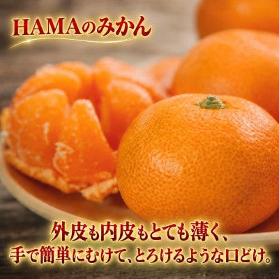 ミネラルを運ぶ潮風に吹かれ甘く育ったみかんを厳選　完熟「HAMAのみかん」正味約5kg【39-95】