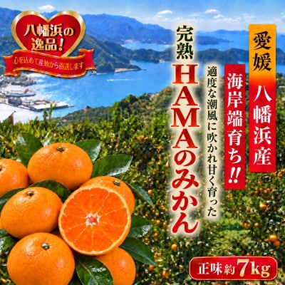 ミネラルを運ぶ潮風に吹かれ甘く育ったみかんを厳選　完熟「HAMAのみかん」正味約7kg【39-96】