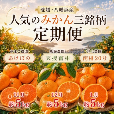 【発送月固定定期便】甘いみかん!!三銘柄「あけぼの」「天授蜜柑」「南柑20号」【39-91】全3回