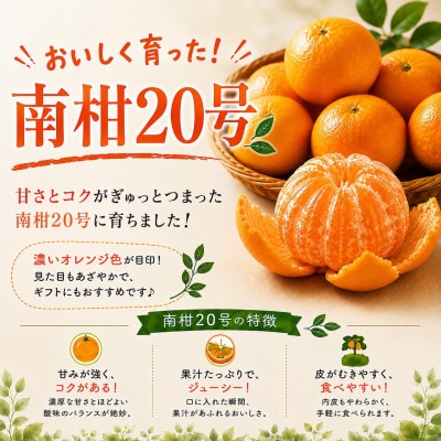【発送月固定定期便】甘いみかん!!三銘柄「あけぼの」「天授蜜柑」「南柑20号」【39-91】全3回