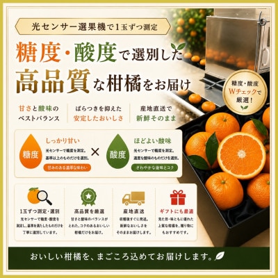 【発送月固定定期便】極撰柑橘「雅」光センサー合格品　まどんな・甘平・せとか・清見【39-93】全4回