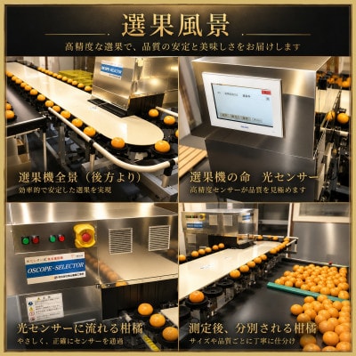 【発送月固定定期便】極撰柑橘「雅」光センサー合格品　まどんな・甘平・せとか・清見【39-93】全4回