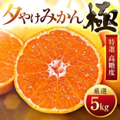 【甘みが濃縮されたみかん】愛媛で育った夕やけみかん【極】5kg(小玉)【C49-10】