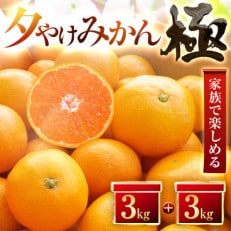 【甘みが濃縮されたみかん】愛媛で育った夕やけみかん【極】3kg×2箱【D49-9】