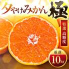 【甘みが濃縮されたみかん】愛媛で育った夕やけみかん【極】10kg(小玉)【G49-28】