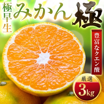 【太陽をたっぷり浴びた】極早生みかん【極】3kg【C49-31】